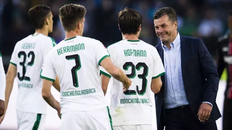 明尼苏达森林狼内部会议纪要流出——清晨再遭质疑；德国杯使命明确；阵容厚度经受考验的简单介绍